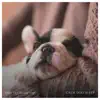 Music For Calming Dogs - Calm Dog Sleep - EP